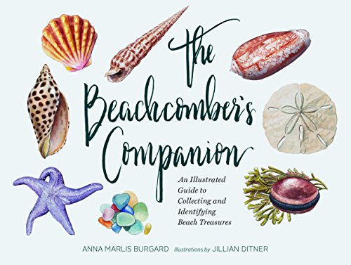 The Beachcomber's Companion: An Illustrated Guide to Collecting and Identifying Beach Treasures (Watercolor Seashell and Shell Collecting Book, Beach Lover Gift) von Chronicle Books